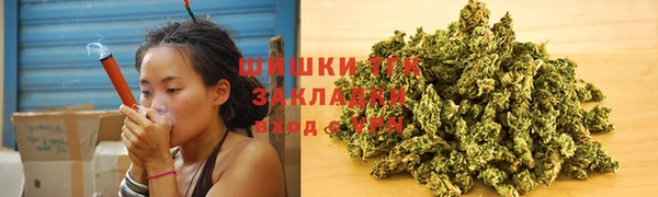 мдпв Елабуга