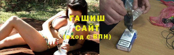 мдпв Елабуга