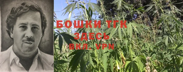 марки lsd Ельня
