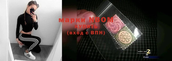 мдпв Елабуга