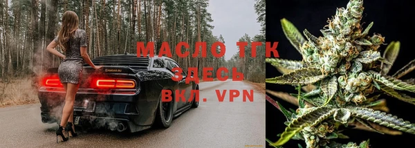 мдпв Елабуга