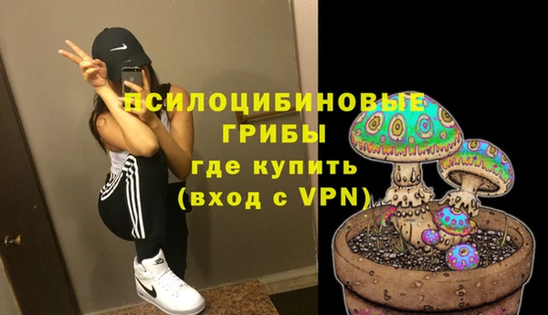 соль курить ск Елизово
