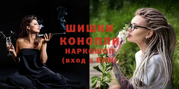 мдпв Елабуга